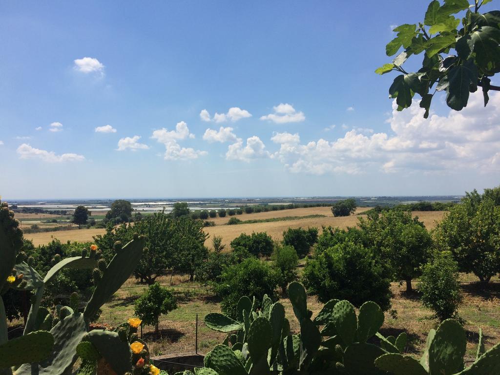 Trullo Del Cavaliere Delle Gravine Villa Castellaneta Luaran gambar